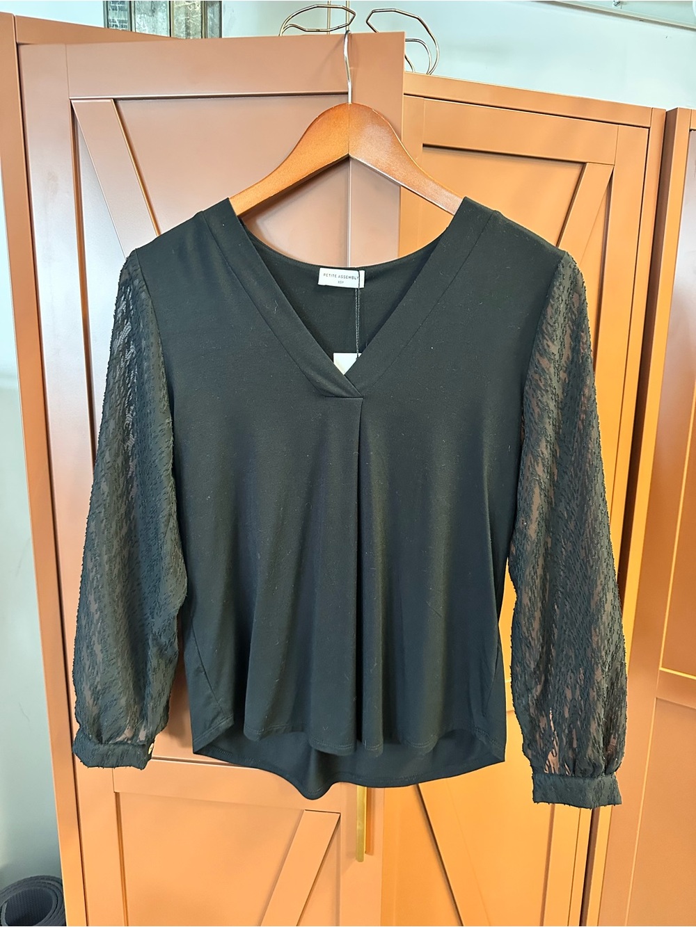 Black V-Neck Blouse with Sheer Lace Sleeves Petite Assembly